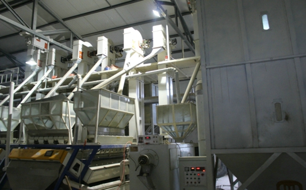 日產(chǎn)50噸小米加工設(shè)備