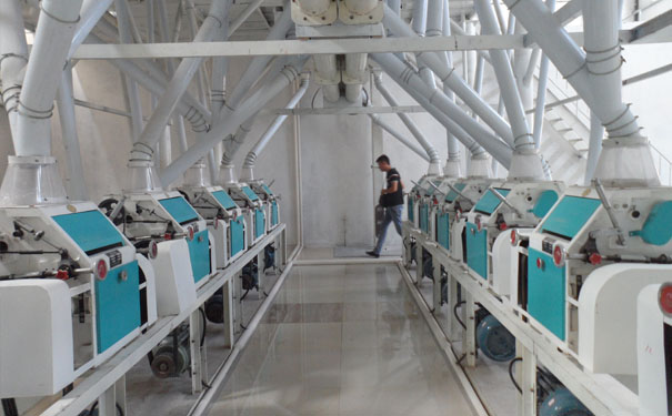 大米加工設(shè)備