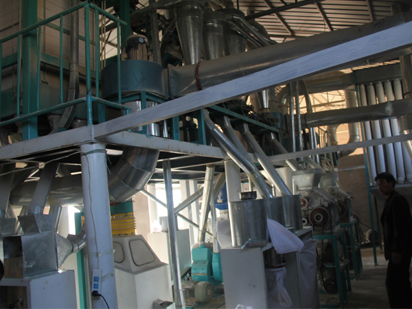 15噸級(jí)玉米加工設(shè)備